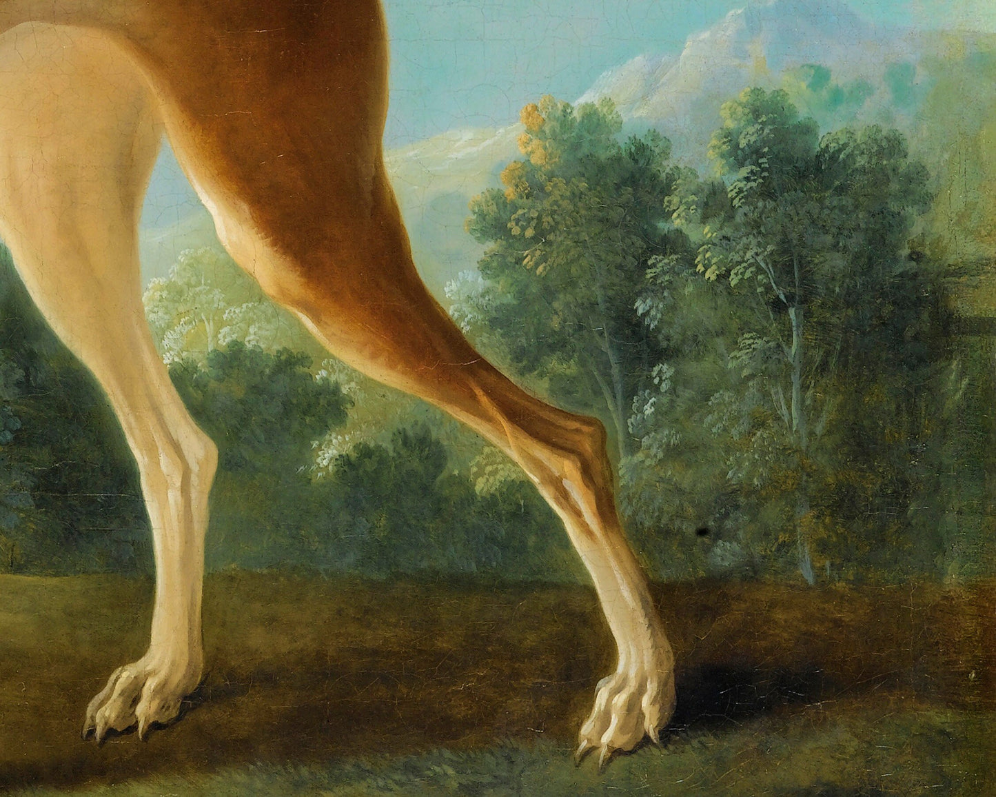 Vintage dog portrait | Greyhound in a landscape | Canine in nature wall art  | Antique animal art | French artist | Jean-Baptiste Oudry