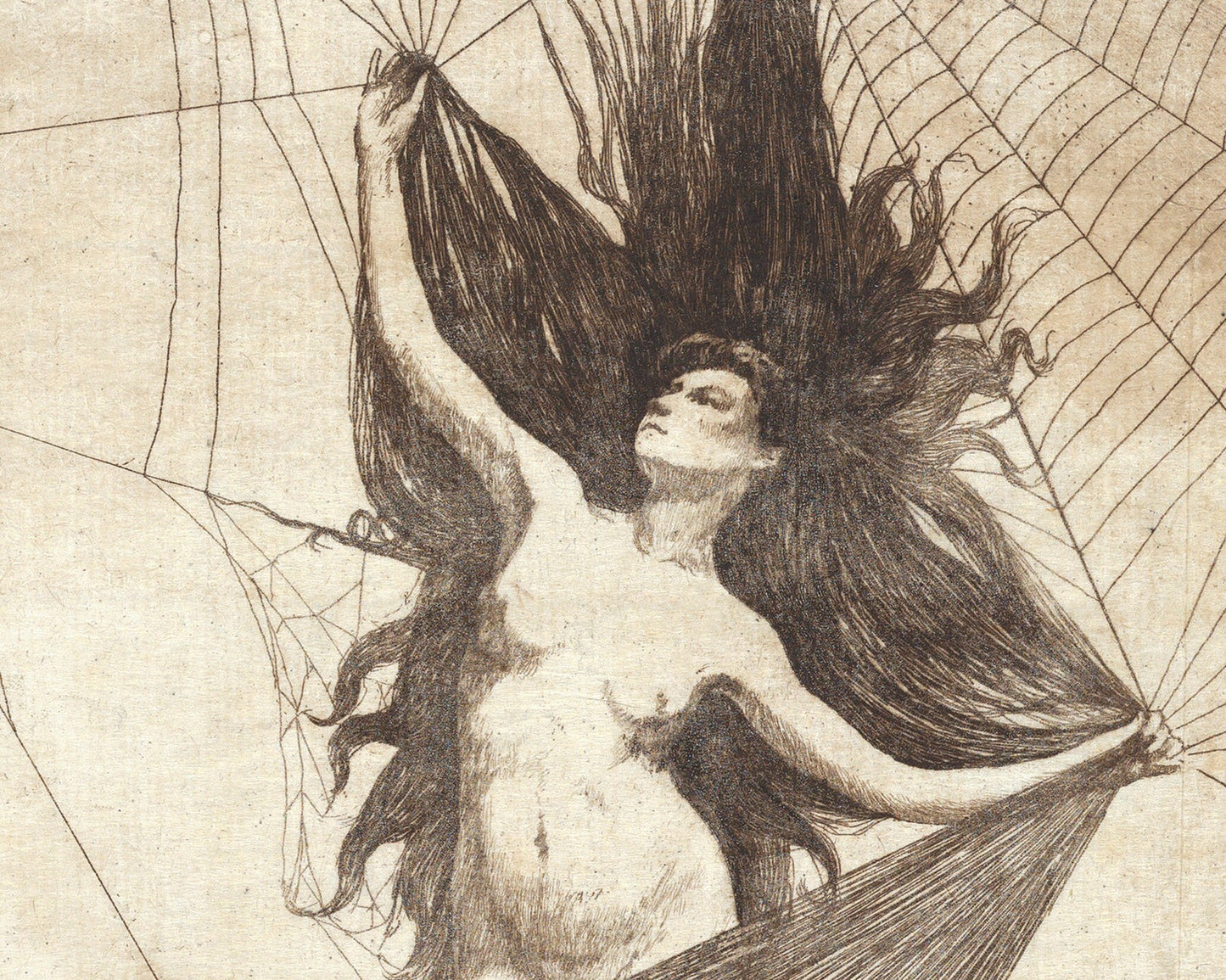 Vintage spider woman art | Arachne | Greek mythology sketch | Vintage gothic nude | Occult, Dark wall art | Victorian spider woman
