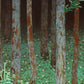 Vintage fantasy forest art print | Weasel in wild strawberries | Tree and nature wall art | Katayama Bokuyo | Asian artist