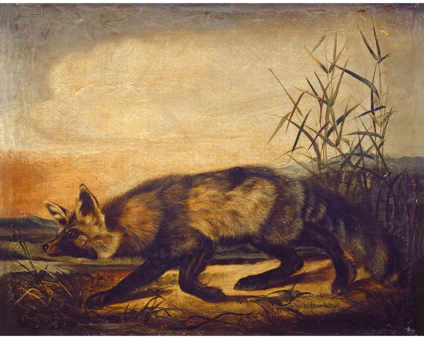 Vintage fox print | John Woodhouse Audubon | Red fox painting | Antique animal art | Woodland wall art | Moody natural history