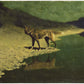 Vintage wolf art | Moonlight wolf | Lone wolf art print | Vintage wildlife | Starry sky painting | Animal wall art | Frederic Remington