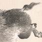 Vintage Japanese wolf art print | Kōno Bairei Woodblock | Wild animal wall art | Running, smiling wolf | Modern, minimal | Asian animal art
