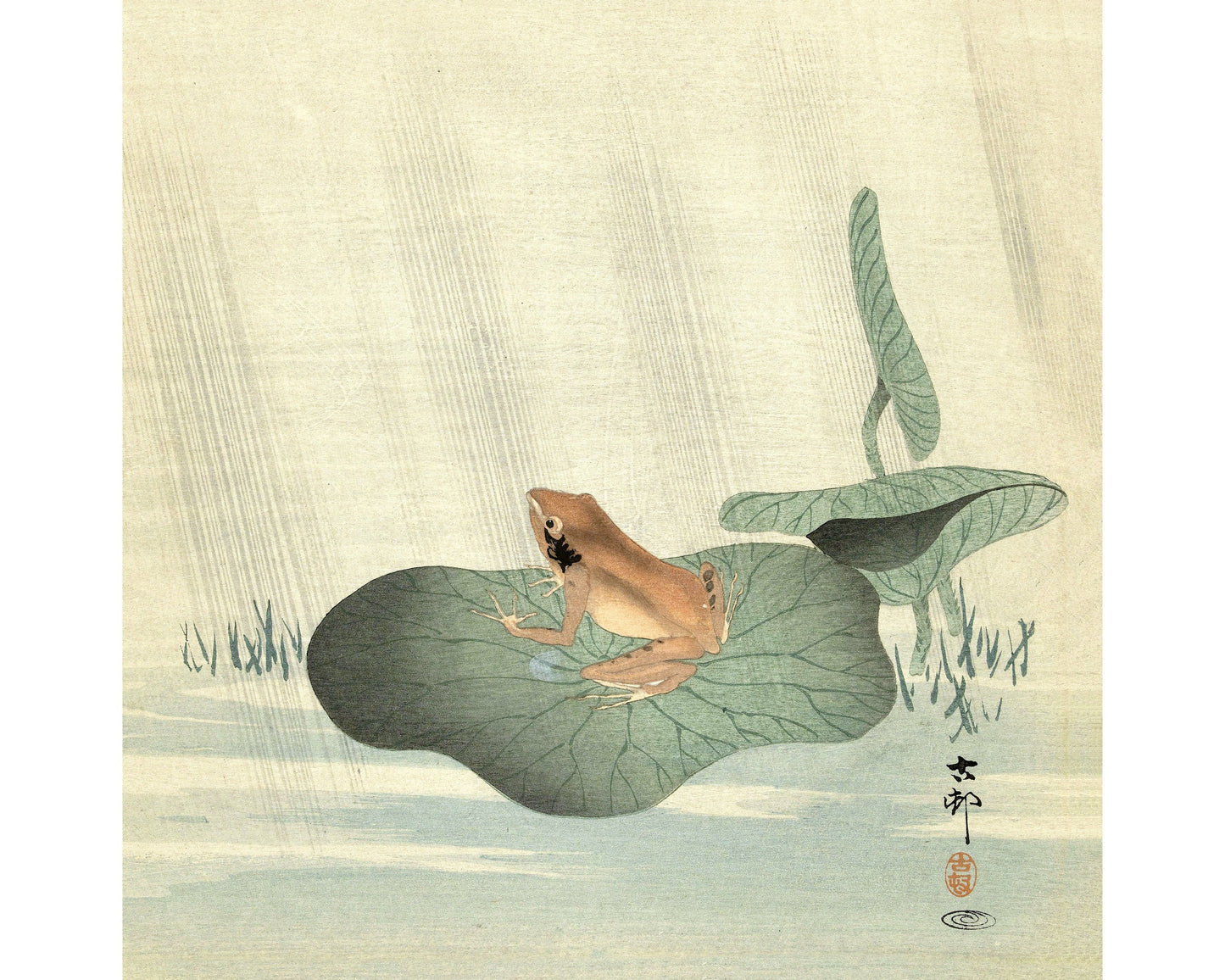 Frog on a Lotus Leaf | Animal wall art | Color woodcut fine art print | Asian water scene | Japanese artist | Ohara Koson