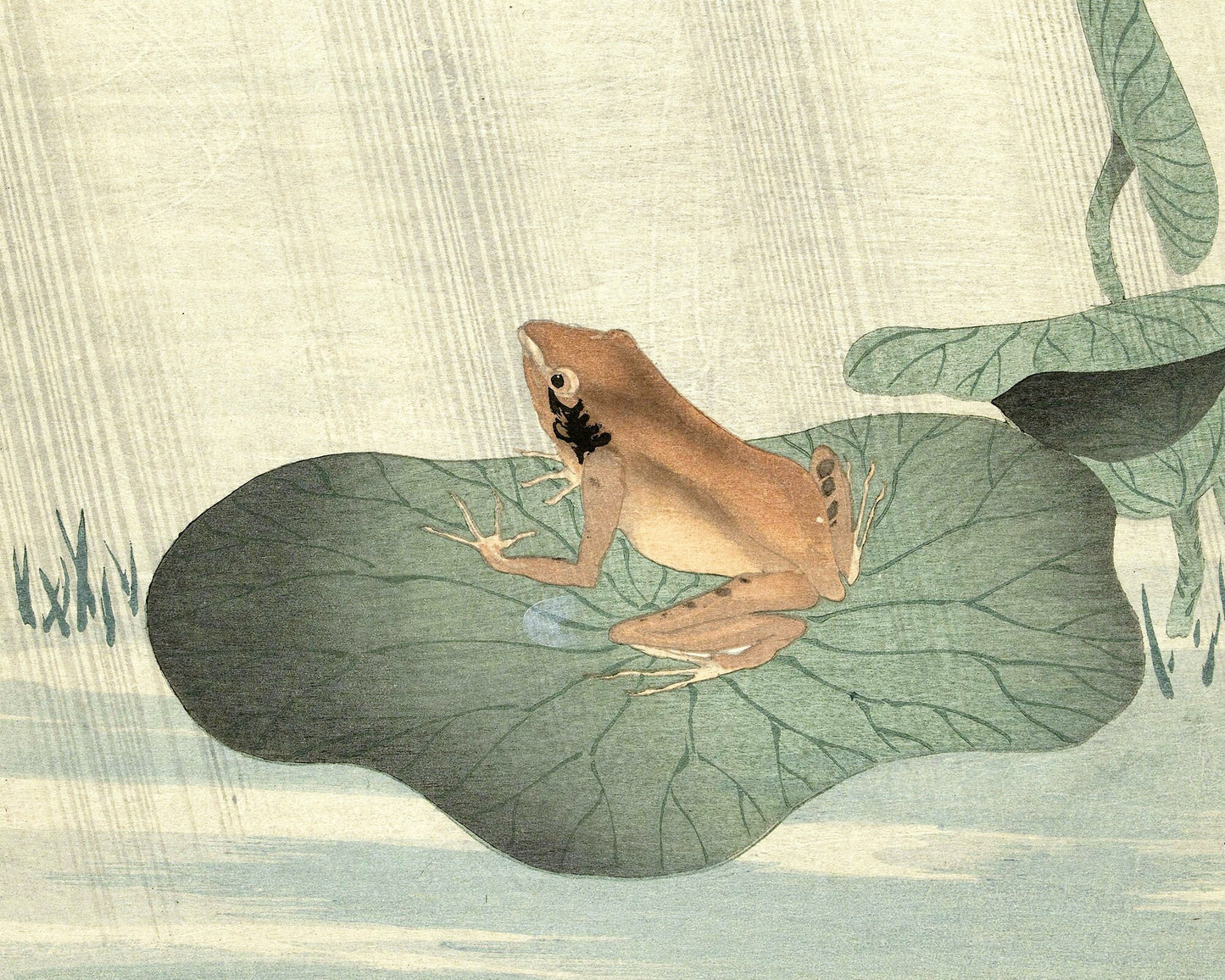 Frog on a Lotus Leaf | Animal wall art | Color woodcut fine art print | Asian water scene | Japanese artist | Ohara Koson