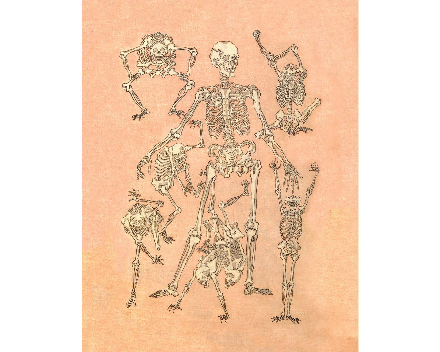 Vintage skeleton art | Kawanabe Kyosai sketch | 19th century Asian | Human anatomy print | Modern vintage décor | Eco-friendly gift