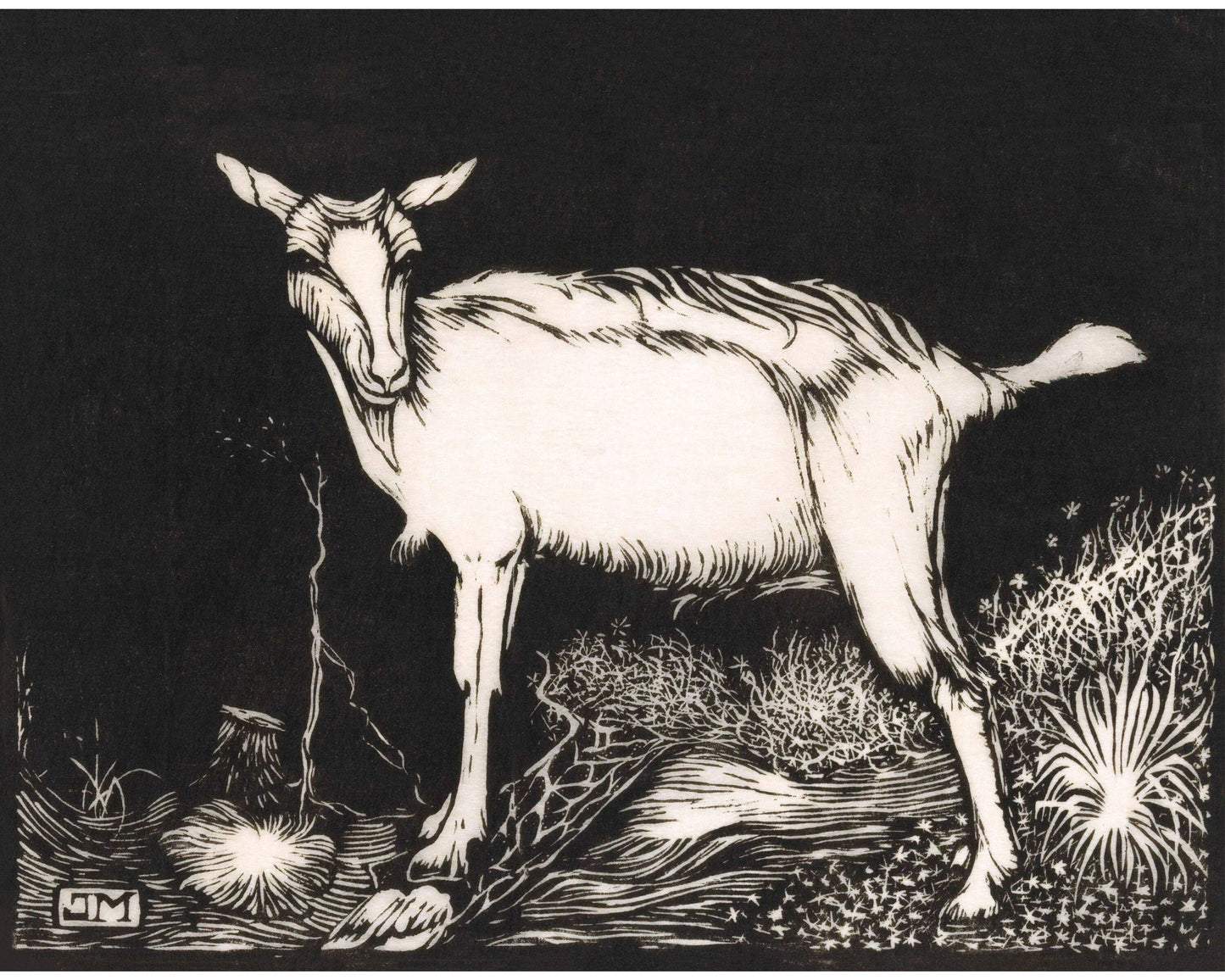 Vintage animal fine art print | White Goat | Black and white woodcut | Farm wall art | Jan Mankes | Dutch artist