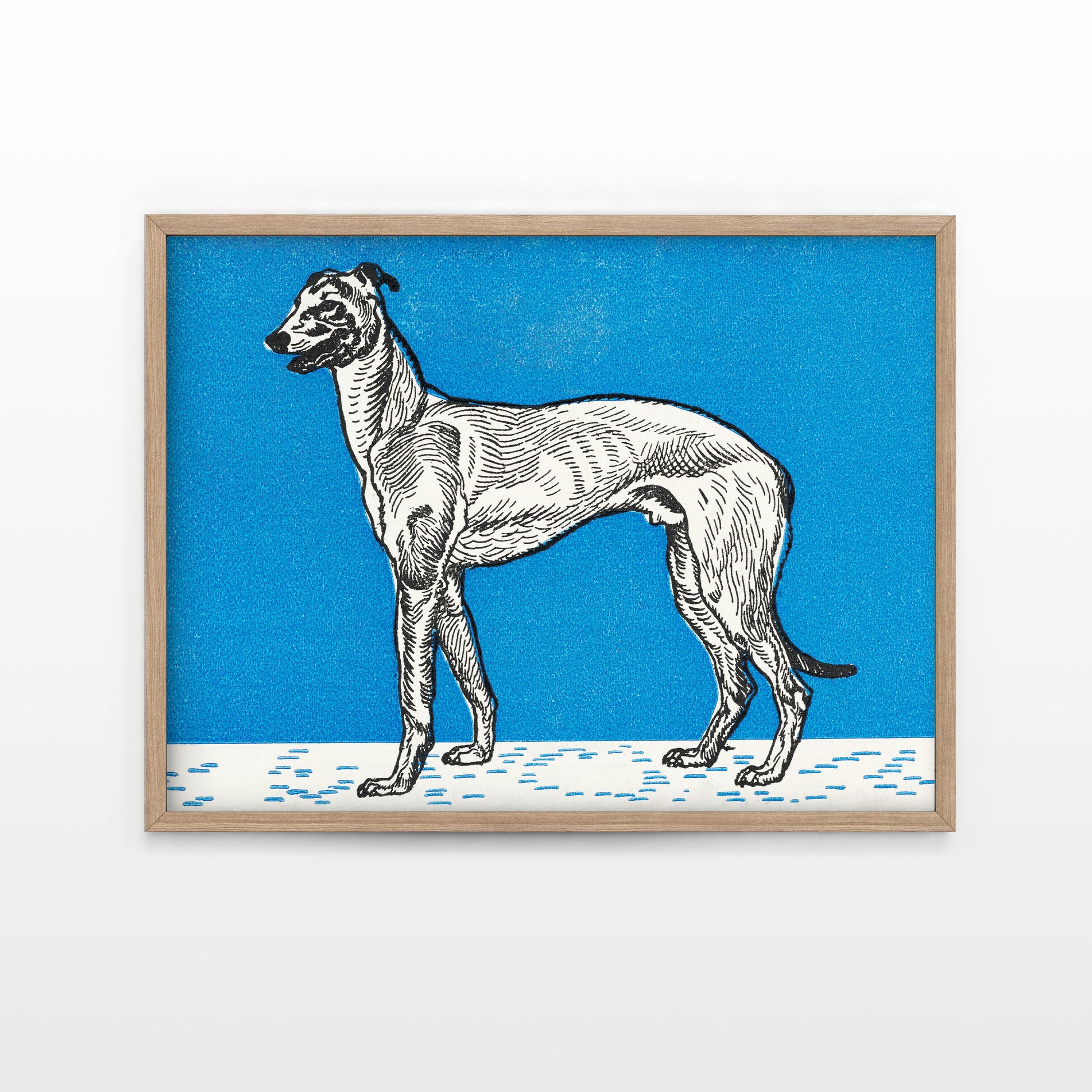 Greyhound by Moritz Jung - Blue Greyhound Art Print