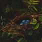 Bird nest and ferns | Vintage bird egg print | Farm and animal art | Natural history wall art | Female artist | Fidelia Bridges