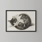 Vintage Sleeping Kitten Poster
