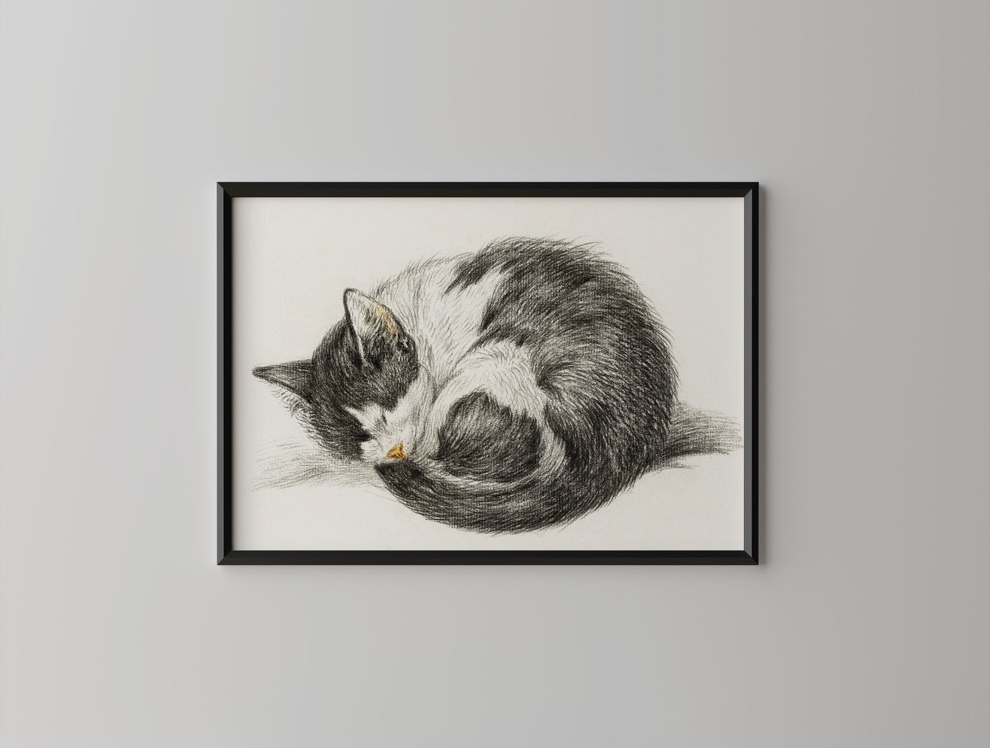 Vintage Sleeping Kitten Poster