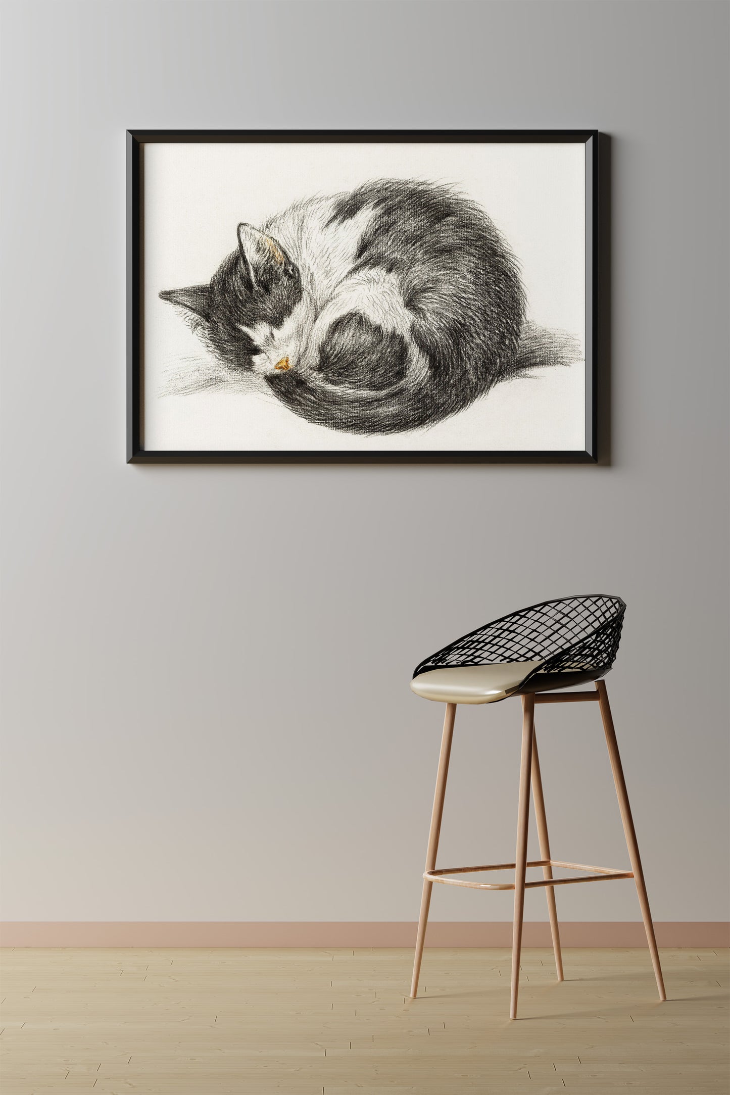 Rolled Up Lying Sleeping Cat by Jean Bernard