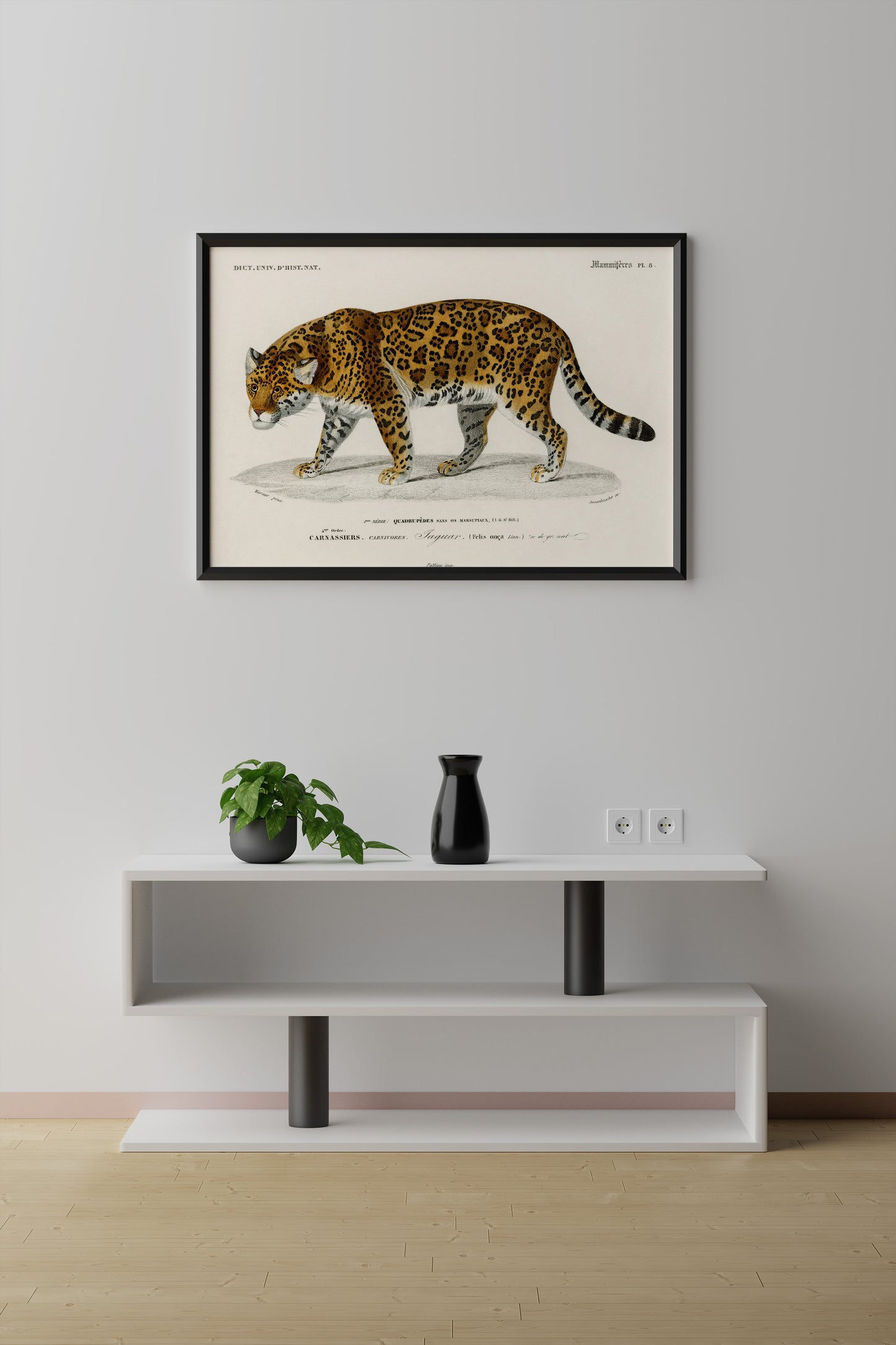 Vintage Jaguar Art Print
