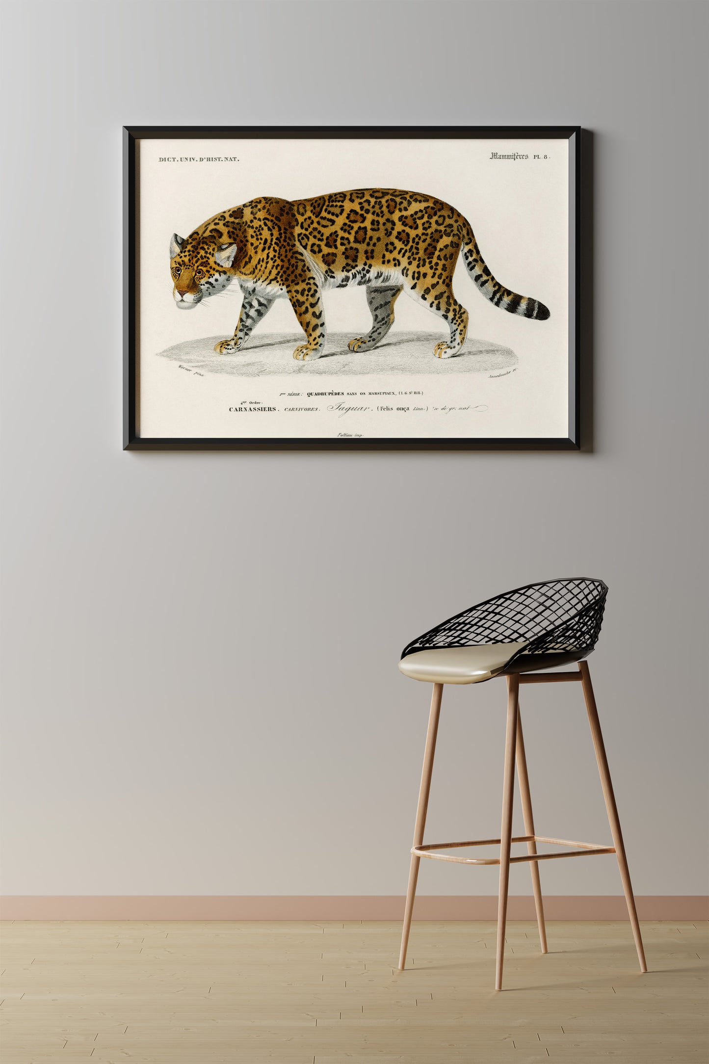 Vintage Jaguar Art Print