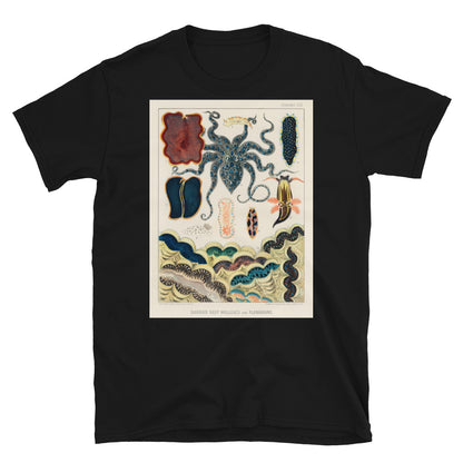 Vintage Australian marine biology illustration - great T-shirt