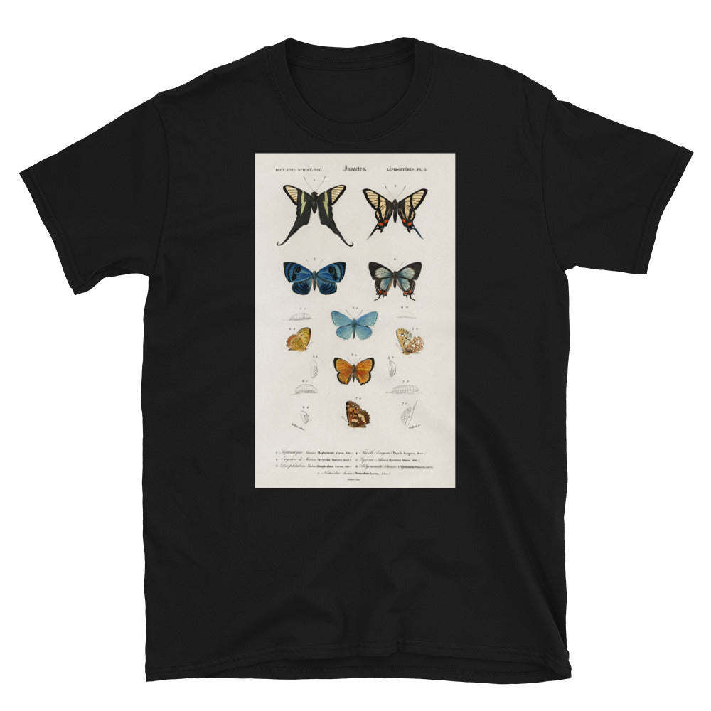 Vintage Butterfly Print - Insects Lepidopteres PL5 T-shirt