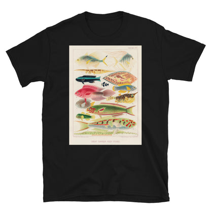 Vintage Australian marine biology illustration - great T-shirt 10