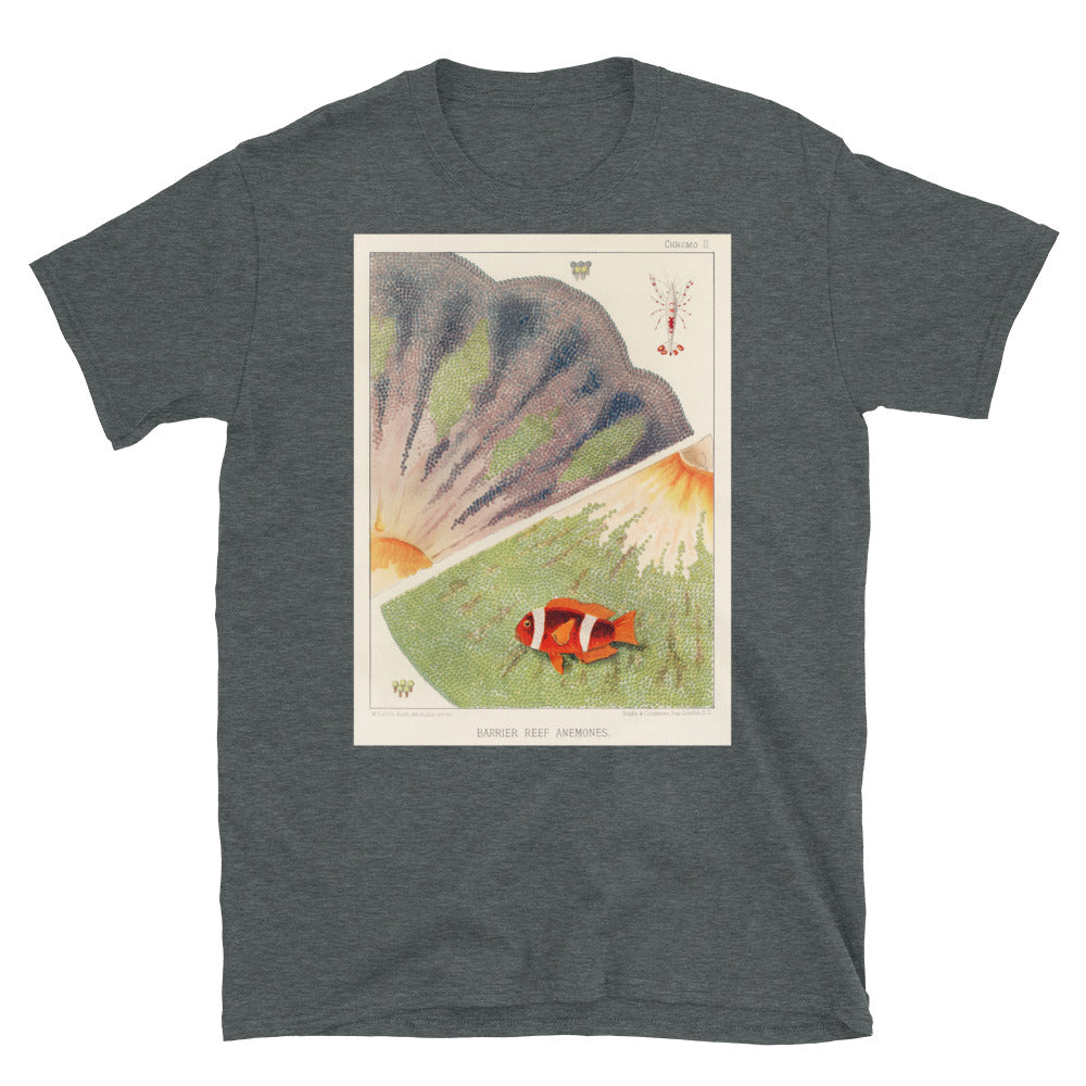Vintage Australian marine biology illustration - great T-shirt 9
