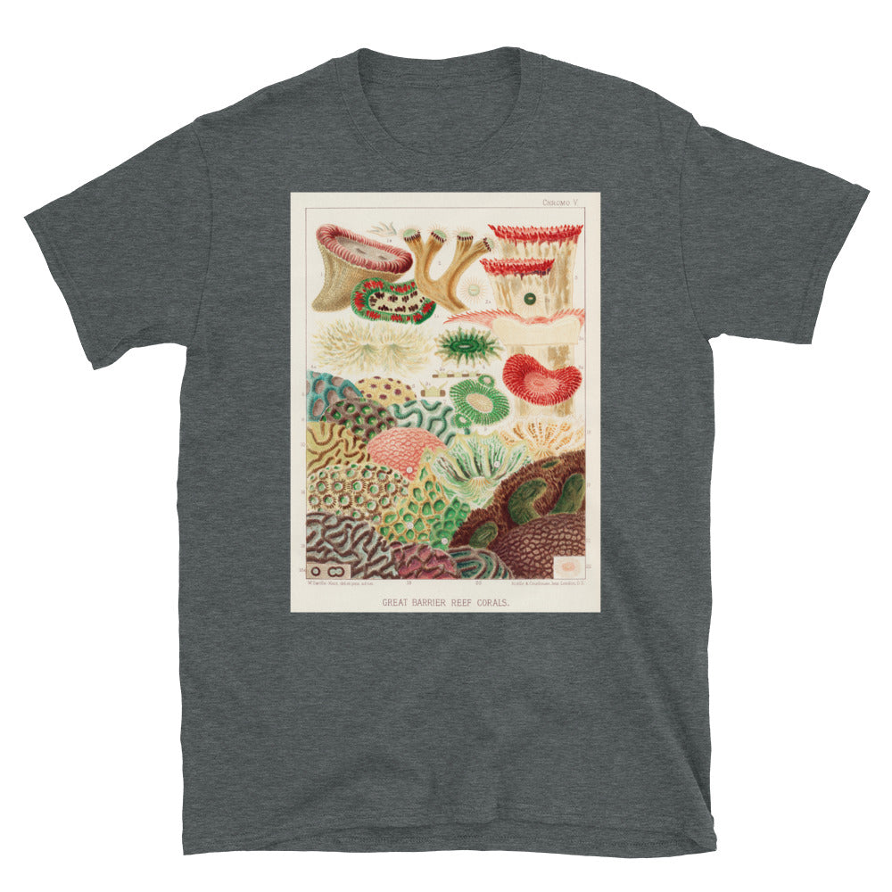 Vintage Australian marine biology illustration - great T-shirt 12