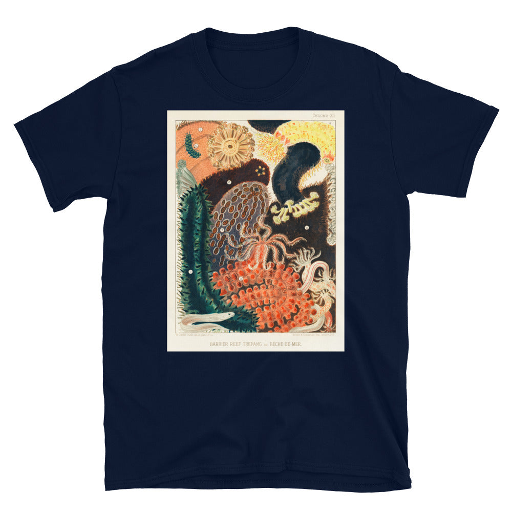 Vintage Australian marine biology illustration - great T-shirt 3