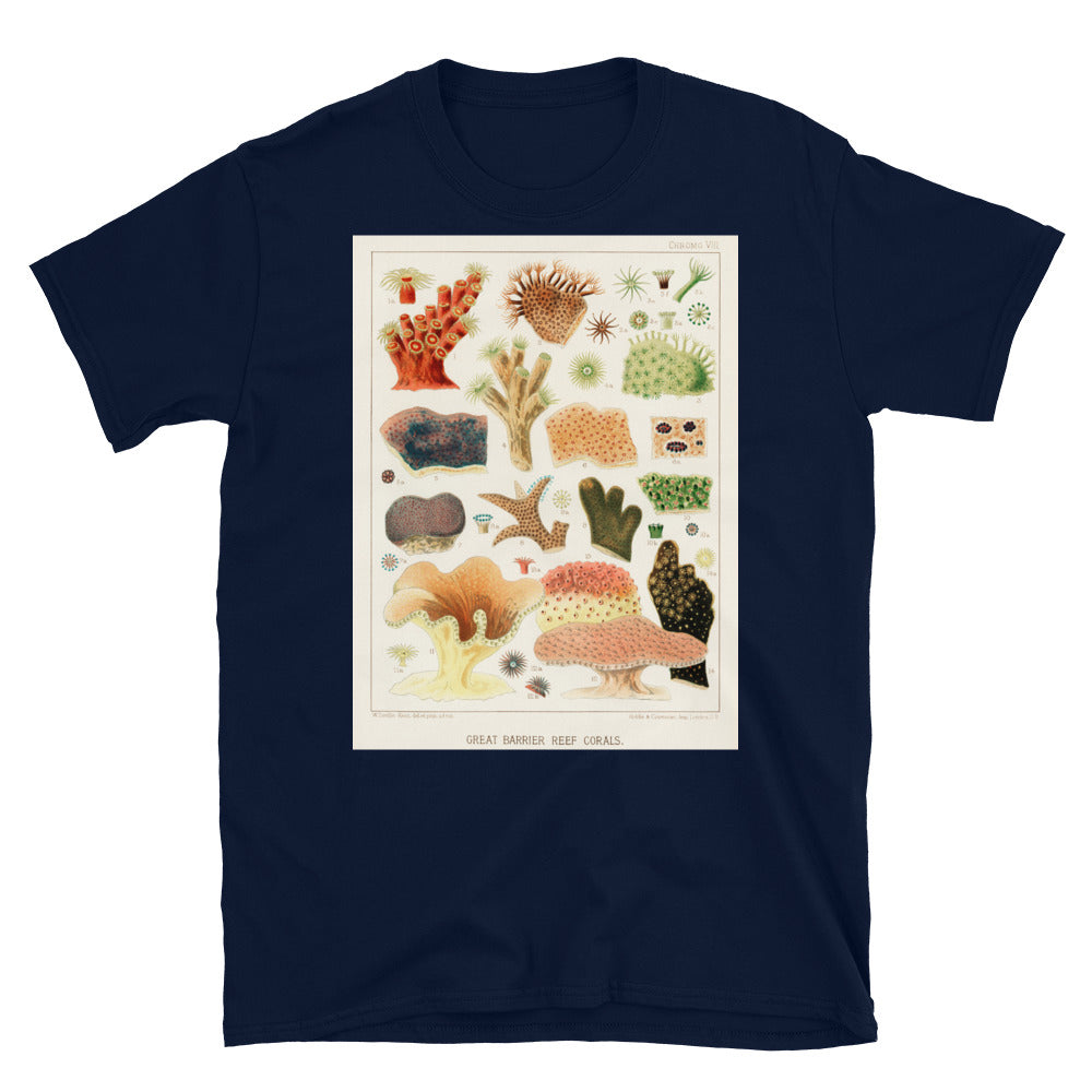 Vintage Australian marine biology illustration - great T-shirt 8