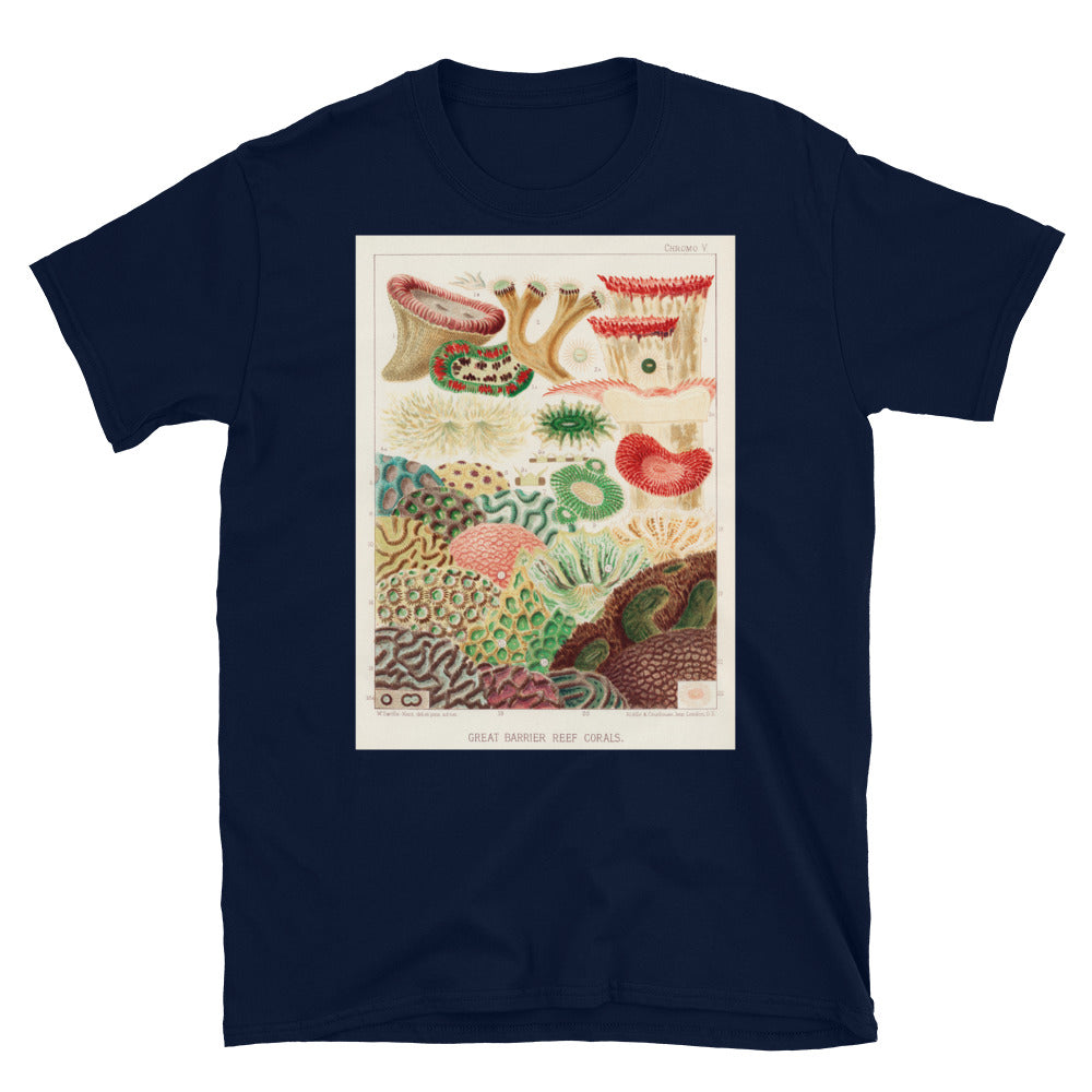 Vintage Australian marine biology illustration - great T-shirt 12