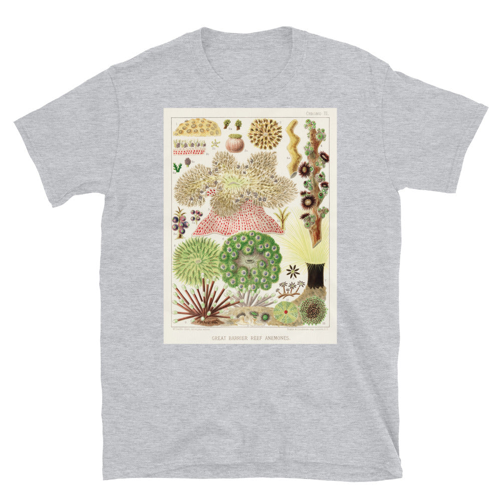 Vintage Australian marine biology illustration - great T-shirt 2