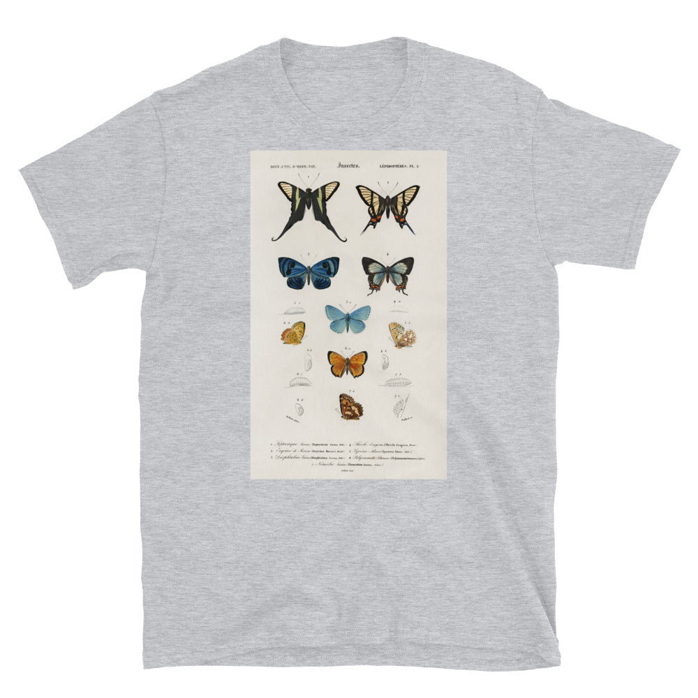 Vintage Butterfly Print - Insects Lepidopteres PL5 T-shirt