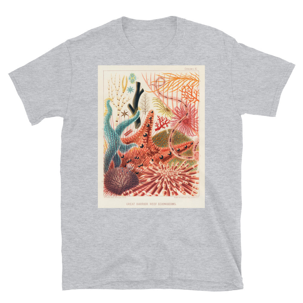 Vintage Australian marine biology illustration - great T-shirt 5