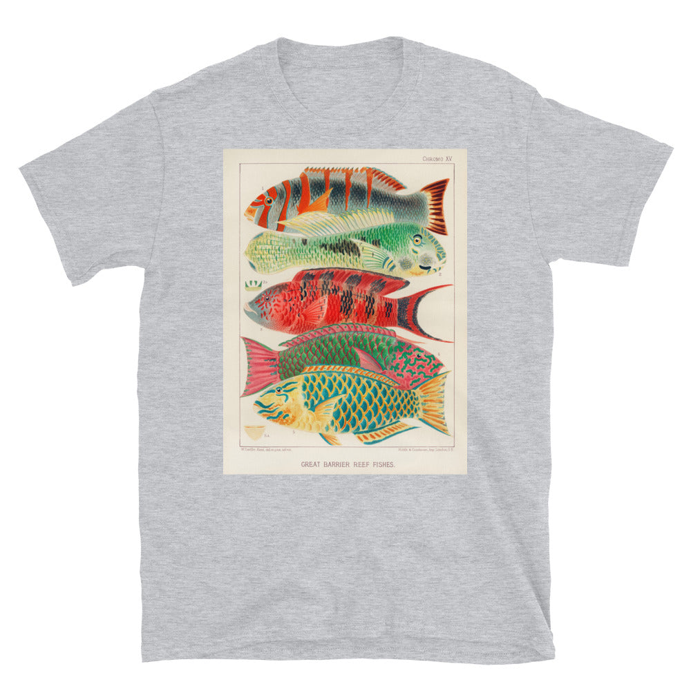 Vintage Australian marine biology illustration - great T-shirt 6