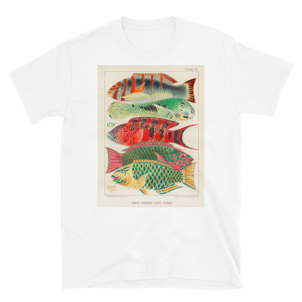 Vintage Australian marine biology illustration - great T-shirt 6