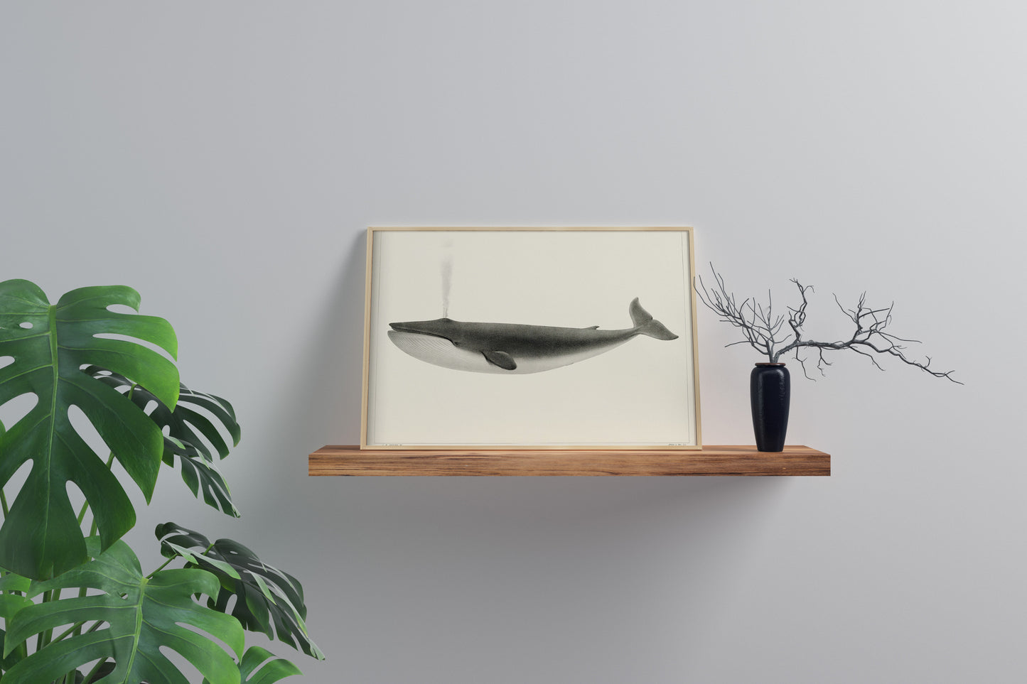 Classic Vintage Whale Poster
